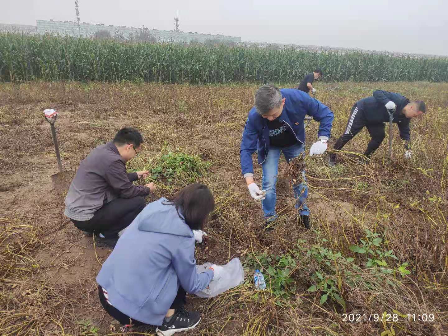 918博天堂·(中国)官方网站